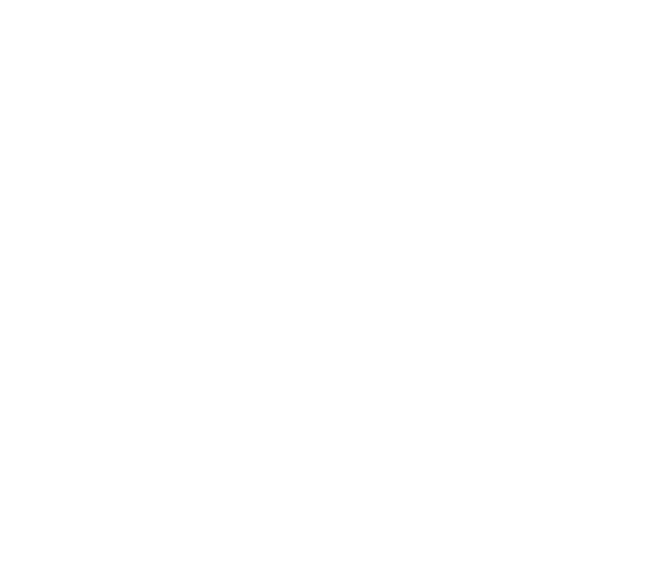 Royal Servizi